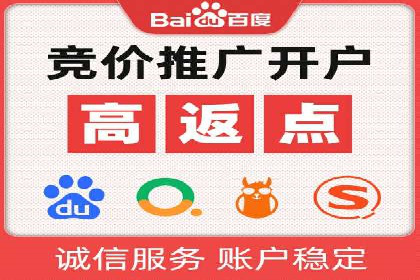 成功SEM推广代运营案例展示